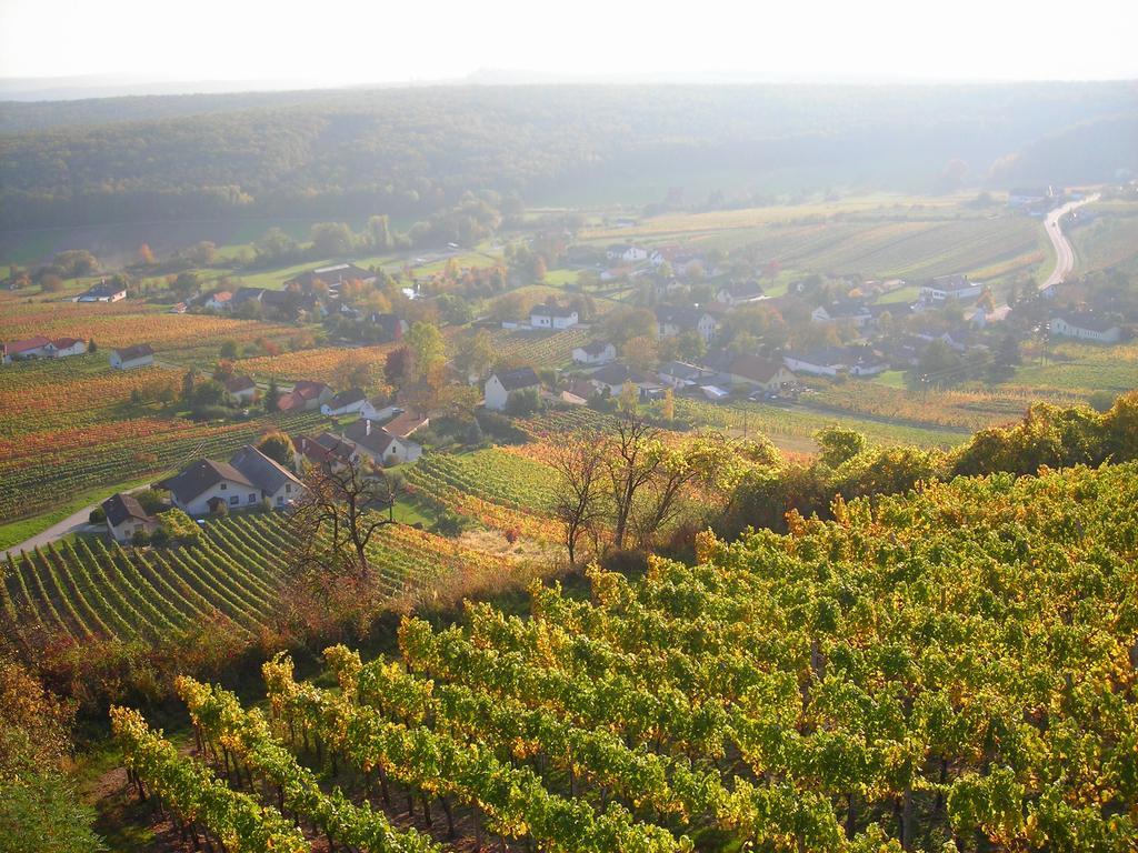 Kellerstoeckl Kamper Villa Eisenberg an der Pinka ภายนอก รูปภาพ