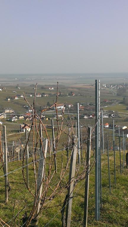 Kellerstoeckl Kamper Villa Eisenberg an der Pinka ภายนอก รูปภาพ