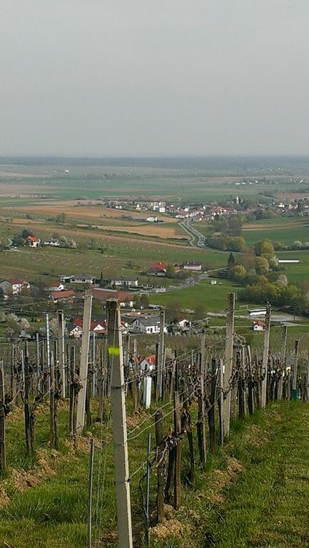 Kellerstoeckl Kamper Villa Eisenberg an der Pinka ภายนอก รูปภาพ